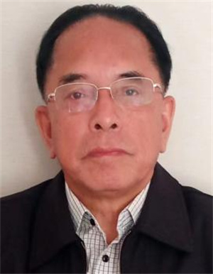 刘作金（男）<br>原丹东人大秘书长、丹东鸭绿江造纸厂党委书记兼厂长，现丹东市延安精神研究会会长，辽宁省优秀党委书记 辽宁省“五一奖章”获得者