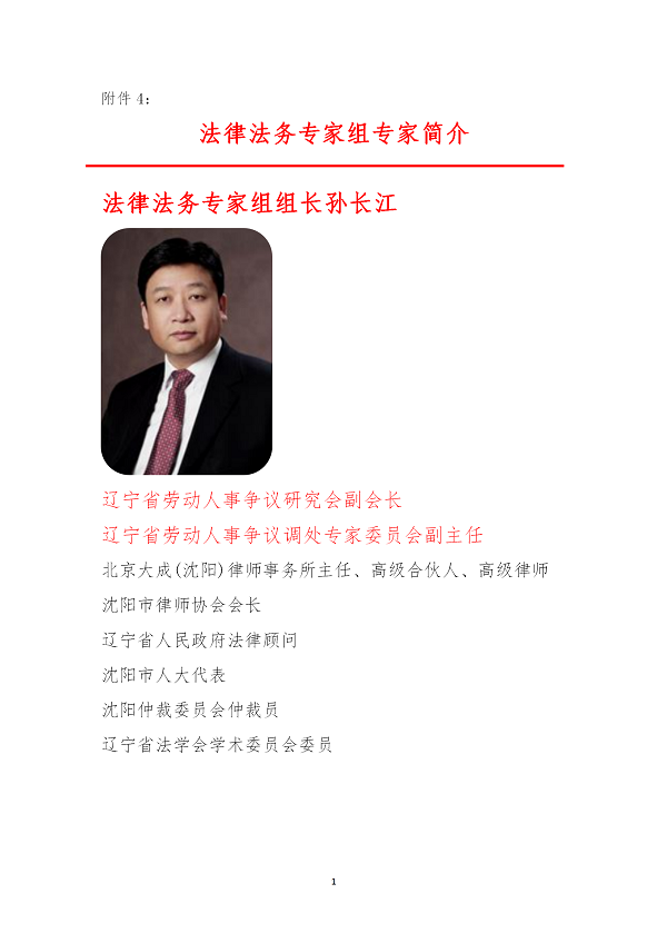 关于增选专家委员会副主任人选的决定(图27)